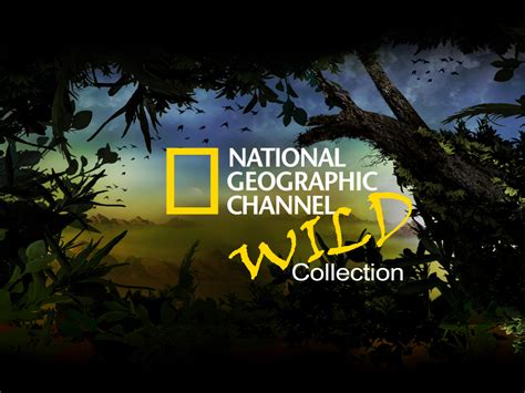 geographic chanel|what is national geographic channel.